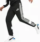 Штаны мужские Puma Essentials+ Colorblock Black 670169-01