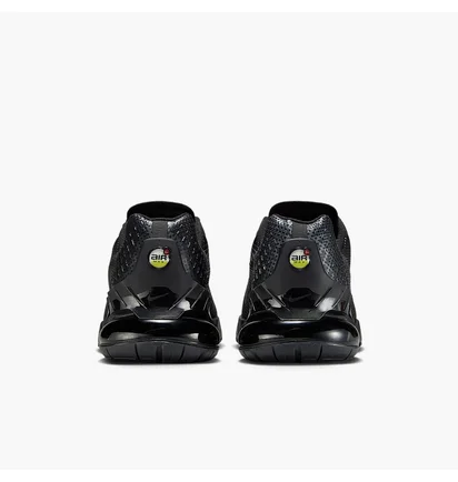 Кросівки чоловічі Nike Air Max Phoenix Black FZ5307-004