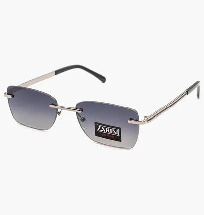 Солнцезащитные очки мужские Zarini Metallic/Grey 21070-C2