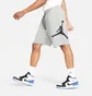 Шорты мужские Air Jordan Jumpman Logo Shorts Grey DB1812-091