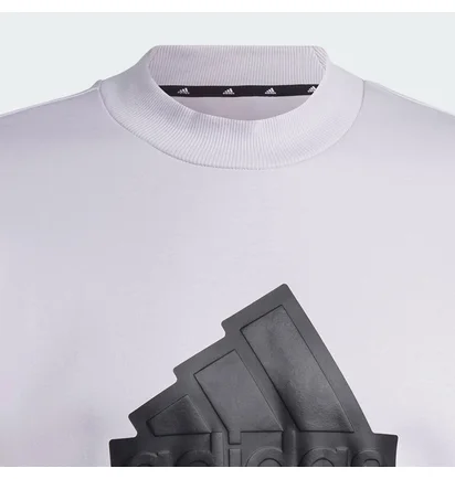 Свитшот мужской Adidas Future Icons Badge Of Sport Grey IC3743