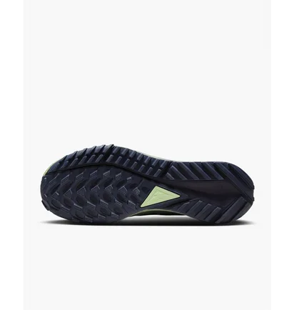 Кроссовки мужские Nike Pegasus Trail 4 Gore-Tex Green DJ7926-303