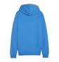 Толстовка чоловіча Puma Teamgoal Casuals Jack Blue 658595-02
