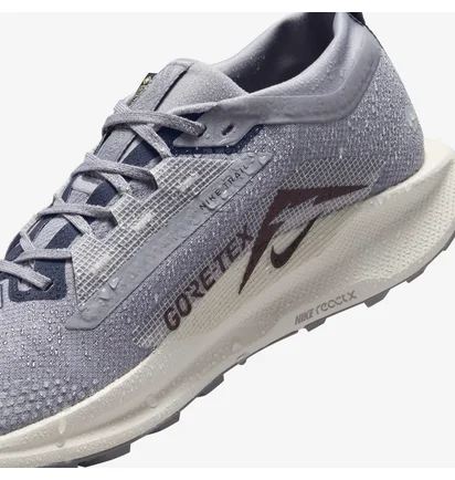 Кроссовки мужские Nike Pegasus Trail 5 Gtx Grey FQ0908-006
