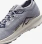 Кроссовки мужские Nike Pegasus Trail 5 Gtx Grey FQ0908-006
