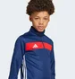 Кофта детская Adidas Tiro 25 Essentials Blue JD0566
