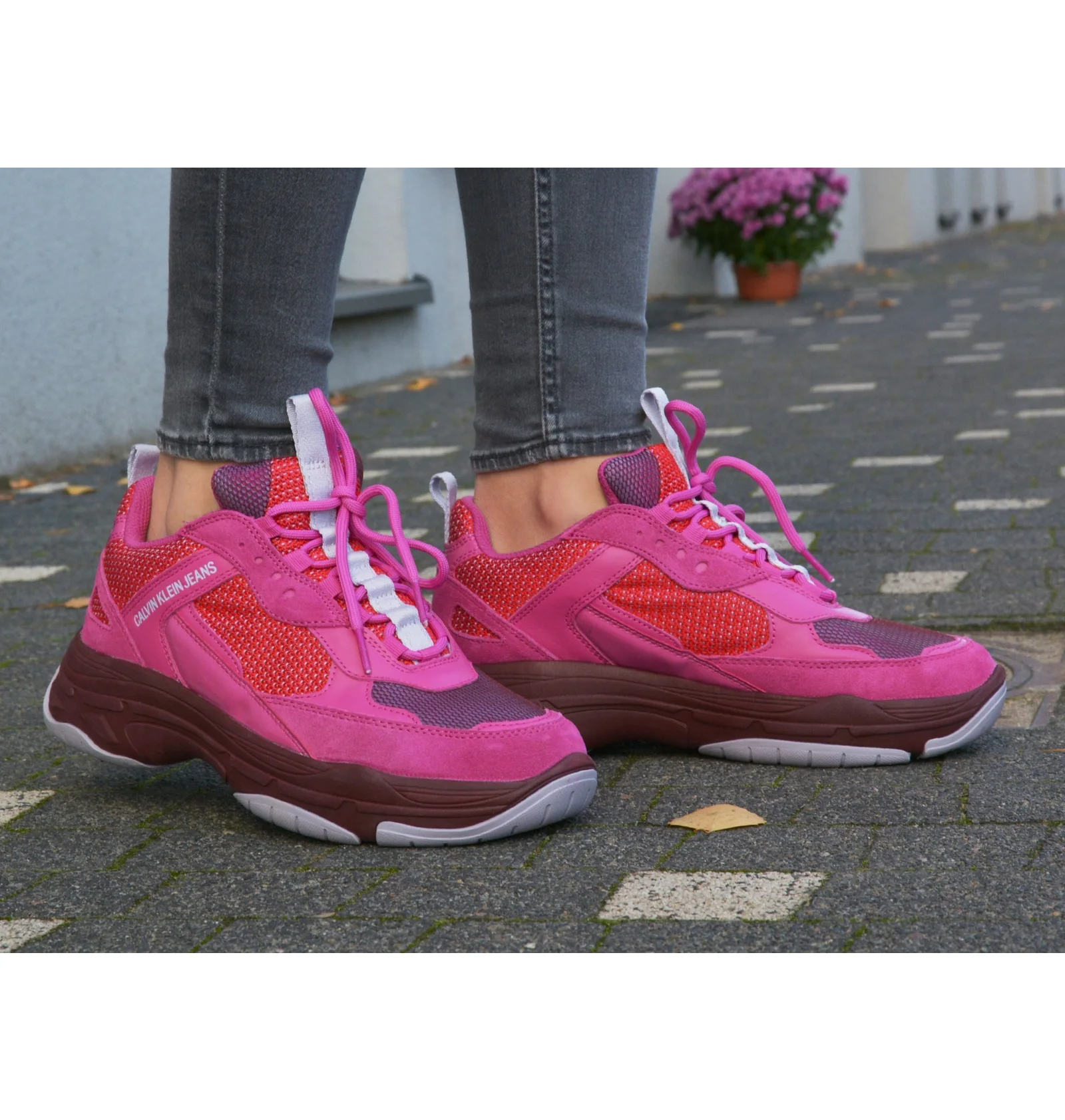 ᐉ Кросівки жіночі Calvin Klein Maya Low Top Lace Up Pink/Violet