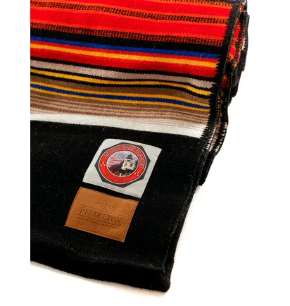 Ковдра Pendleton Woolen Mills Acadia National Park Multi XF13350320