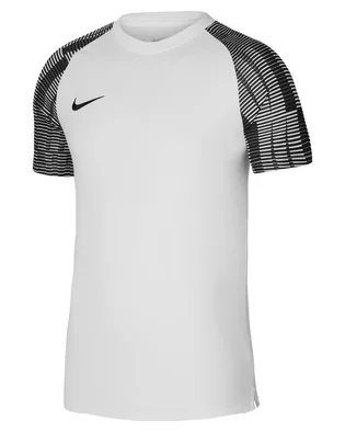 Футболка мужская Nike Dri-Fit Academy White DH8031-104