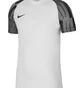 Футболка мужская Nike Dri-Fit Academy White DH8031-104