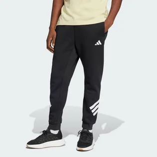 Штаны мужские Adidas Future Icons 3-Stripes Black JD4863
