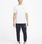Штаны мужские Nike Dri-Fit Black Cz6379-451