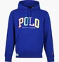 Худи мужское Ralph Lauren Fleece Logo Hoodie Blue 710890190003