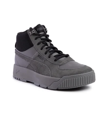 Кросівки чоловічі Puma Tarrenz Sb Grey 370551-03