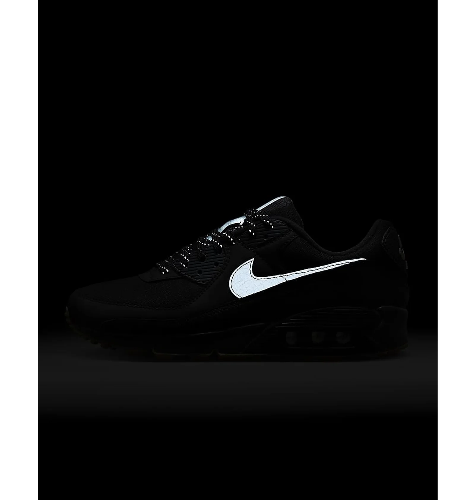 ᐉ Кроссовки мужские Nike Air Max 90 Black FV0387-001 - купить в