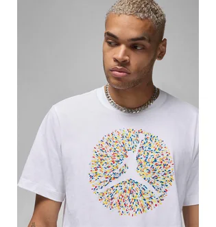 Футболка мужская Air Jordan M J Flt Ess Pool Ss Crew White FN6006-100