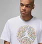 Футболка мужская Air Jordan M J Flt Ess Pool Ss Crew White FN6006-100