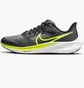 Кроссовки детские Nike Air Zoom Pegasus 39 Gs Grey DM4015-002