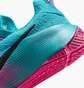 Кроссовки мужские Nike Lebron Tr 1 Turquoise FJ6151-301
