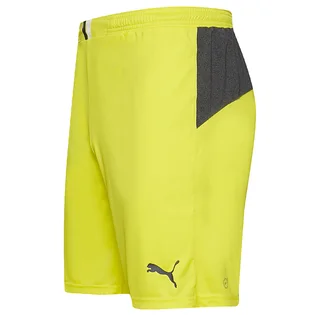 Шорти чоловічі Puma King Yellow 701701-37