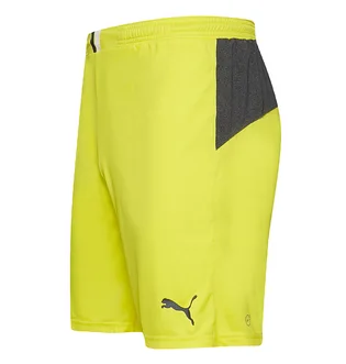 Шорты мужские Puma King Yellow 701701-37