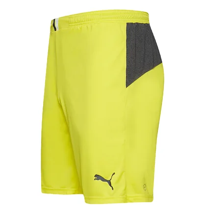 Шорты мужские Puma King Yellow 701701-37