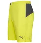 Шорты мужские Puma King Yellow 701701-37