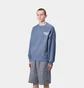 Світшот чоловічий Carhartt WIP Catalogue Light Blue I034729.2X7XX