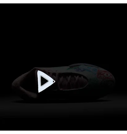 Кроссовки мужские Nike Lebron Xxii Multi FZ1097-100