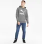 Худи мужское Puma Classics Logo Grey 530084-03