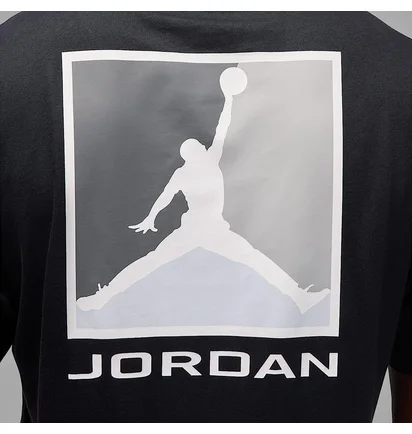 Футболка мужская Air Jordan Brooklyn Black HQ8942-010