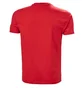 Футболка мужская Helly Hansen Rwb Graphic T-Shirt Red 53763-162