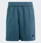 Шорты мужские Adidas Z.N.E. Premium Shorts Blue IS8359