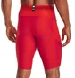 Шорты мужские Under Armour Ua Hg Isochill Long Shorts Red 1365224-890