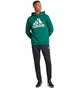 Спортивний костюм чоловічий Adidas French Terry Hooded Green/Black IP3115