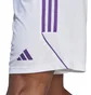 Шорти чоловічі Adidas Shorts Tiro 23 Sho White IC7487