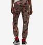 Спортивный костюм женский Air Jordan Artist Series Brown DX0387-274__DX0405-274