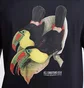 Футболка мужская Nike Acg Toucan Black HJ0792-010
