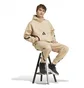 Худи мужское Adidas Z.N.E. Beige JJ4894