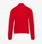 Кофта мужская Adidas Entrada 22 Training Top Red H57556
