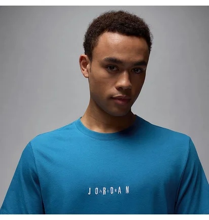 Футболка мужская Air Jordan Embroidered Crew Light Blue DM3182-457