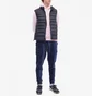 Жилетка мужская Polo Ralph Lauren Recycled Lightweight Down Vest Blue 710810898007