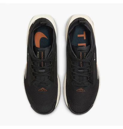Кроссовки женские Nike Pegasus Trail 5 Gore-Tex Black FQ0912-005
