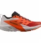 Кроссовки мужские Salomon Sense Ride 5 Trail Running Shoes Orange/White L47046200