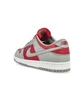 Кроссовки унисекс Nike Dunk Low Grey/Red FQ6965-600