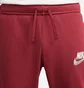 Штани чоловічі Nike Club Fleece+ French Terry Sweatpants Bordo FB7687-677