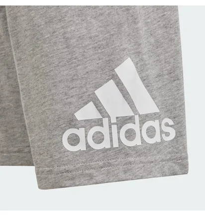 Спортивный костюм детский Adidas Essentials Logo Blue/Grey IS2470