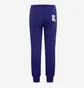 Спортивный костюм детский Air Jordan Mj Flight Mvp Violet 95C721-PA5__95C503-PA5