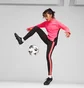 Бутси унісекс Puma Ultra 5 Pro Fg/Ag Black 107685-02