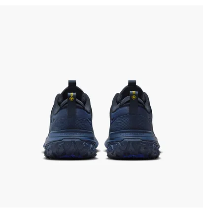 Кроссовки мужские Nike Acg Mountain Fly 2 Low Gore-Tex Blue HF6245-400